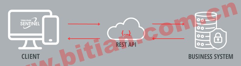 RESTful API 圖形與計算機、云和業(yè)務(wù)系統(tǒng)或服務(wù)器一起通信以進(jìn)行休息